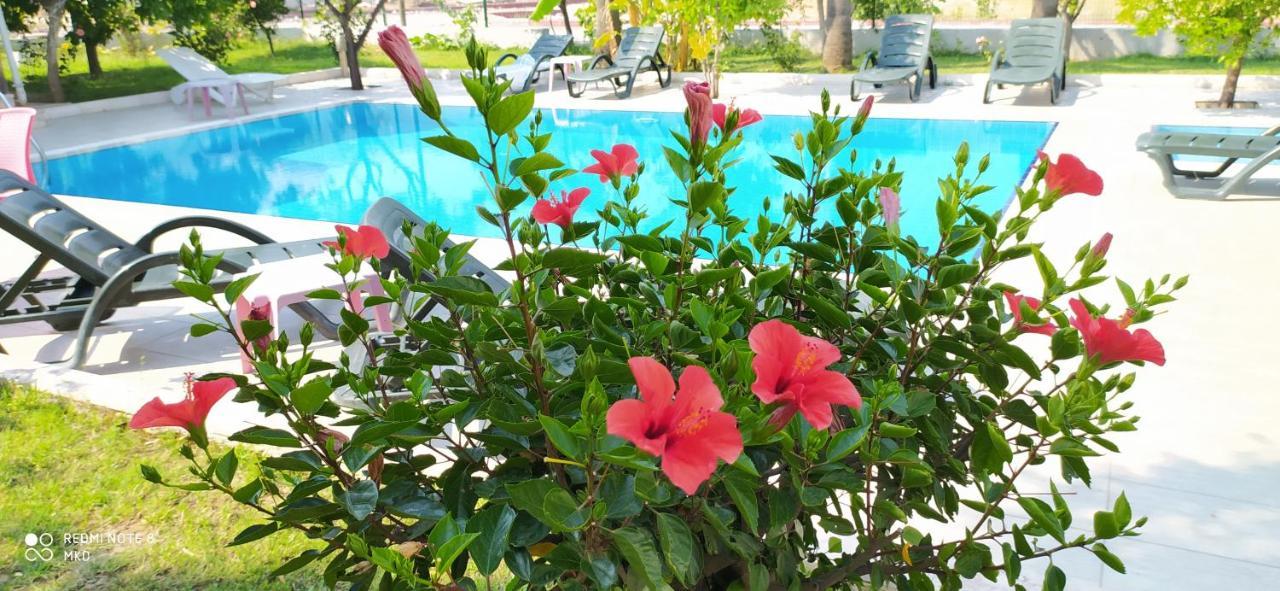 Green Garden Otel Κεμέρ Εξωτερικό φωτογραφία