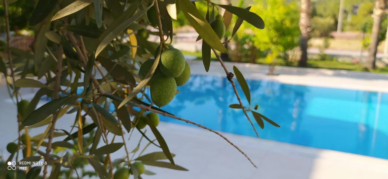 Green Garden Otel Κεμέρ Εξωτερικό φωτογραφία