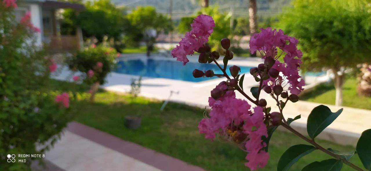 Green Garden Otel Κεμέρ Εξωτερικό φωτογραφία