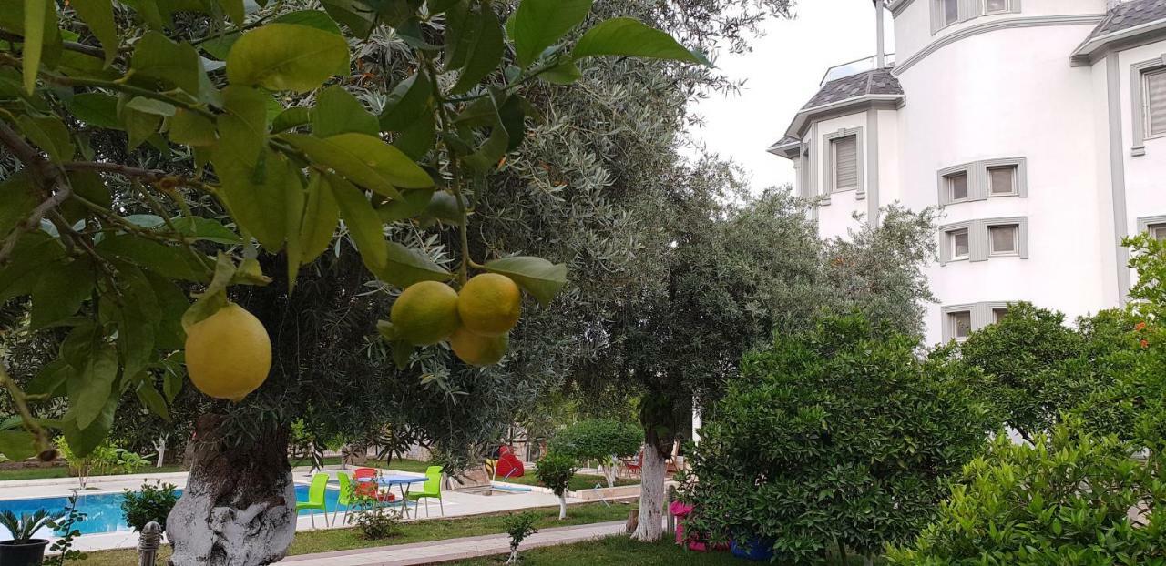 Green Garden Otel Κεμέρ Εξωτερικό φωτογραφία
